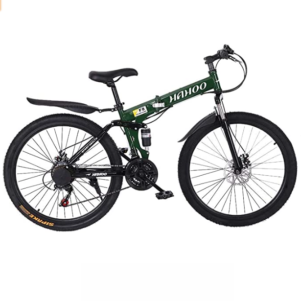 Folding Bike for adults