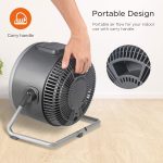 Vortex with Air Circulation Fan