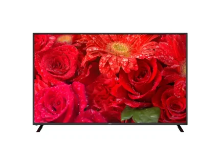 RCA 50 Inch TV