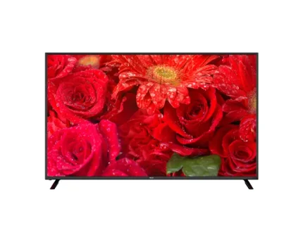 RCA 50 Inch TV